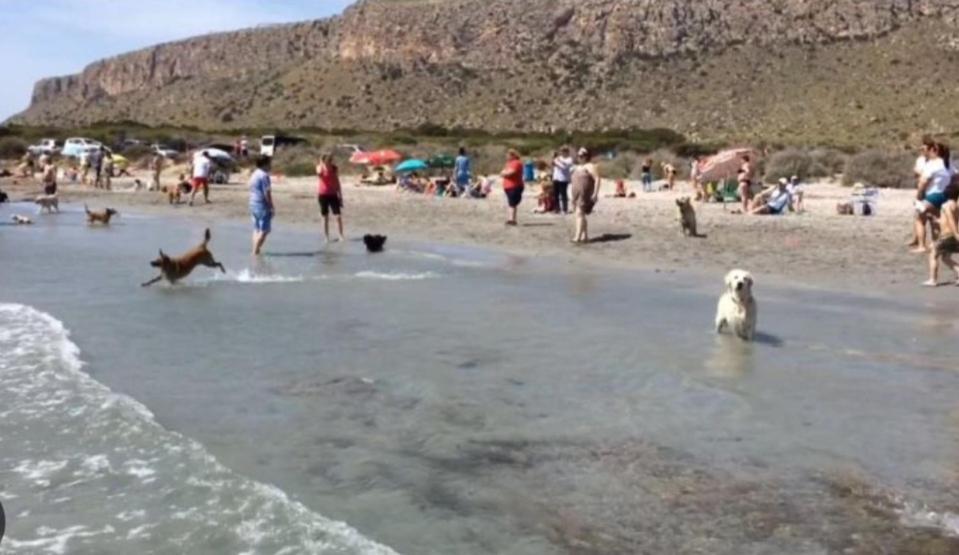 Appartamento La Casita Del Tio Santa Pola Esterno foto