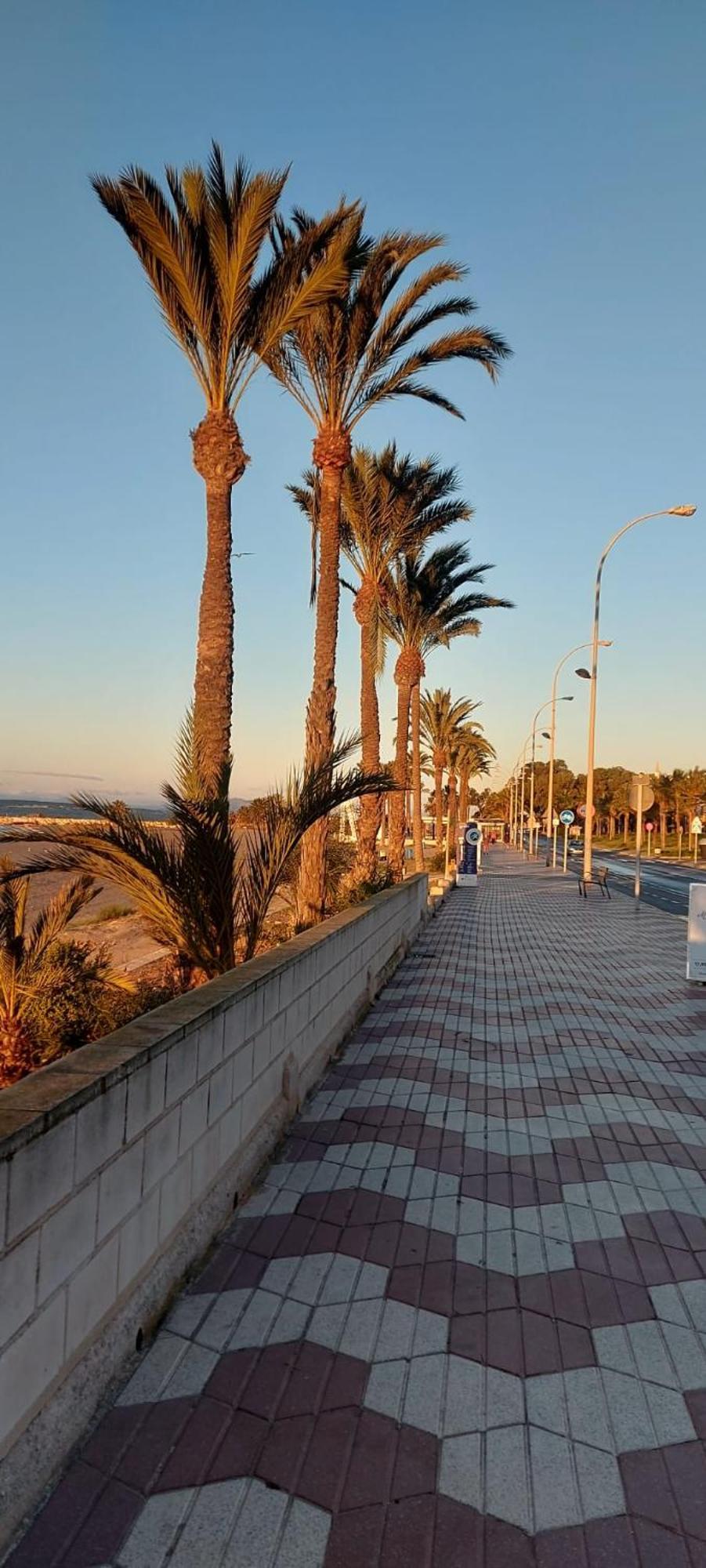 Appartamento La Casita Del Tio Santa Pola Esterno foto